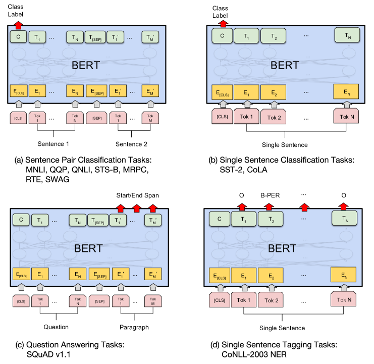 BERT fine-tuning on downstream tasks