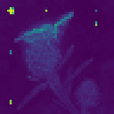 DINOv2 without registers