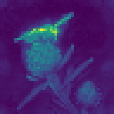 DINOv2 with registers