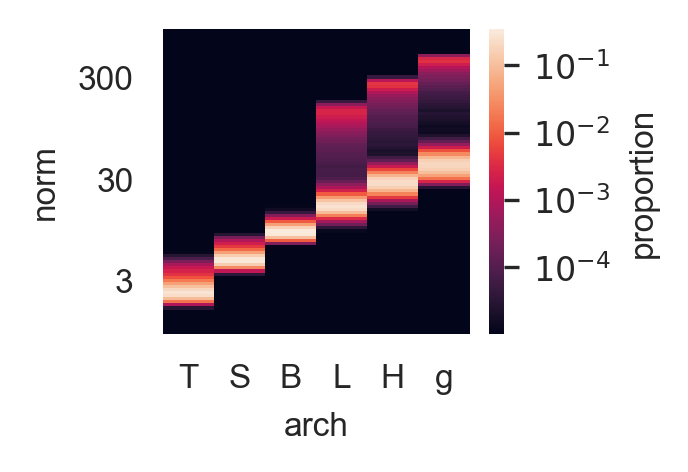 Norms by model size
