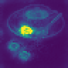 Register 6 attention